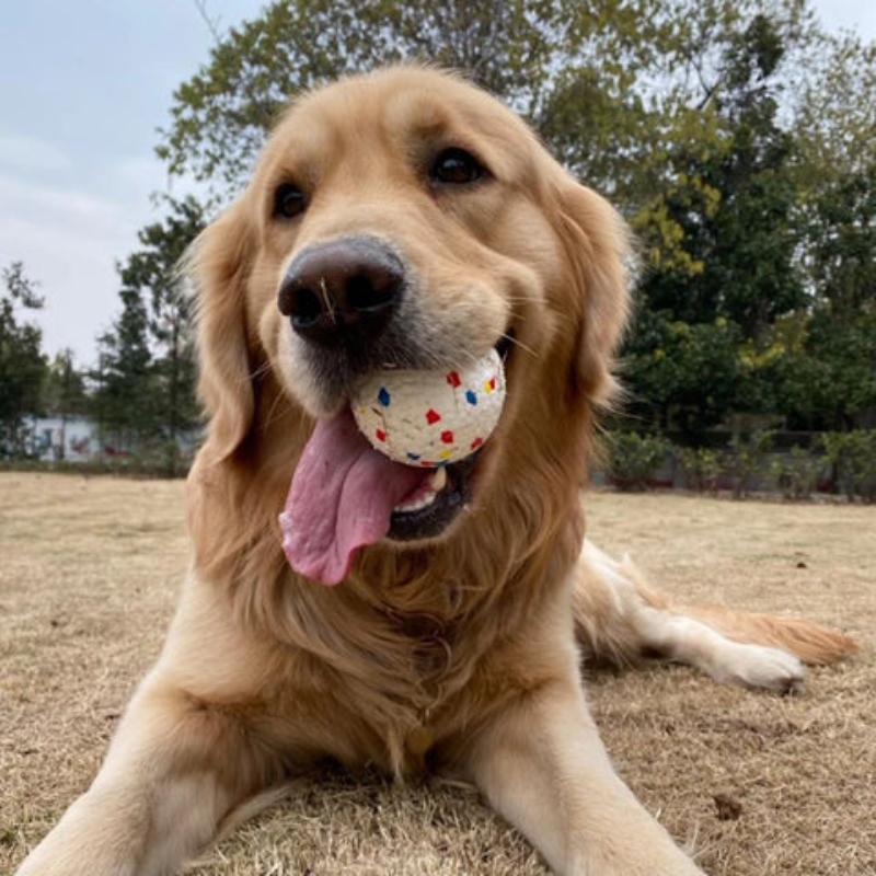 Unwiderstehlicher, widerstandsfähiger Ball für Hunde