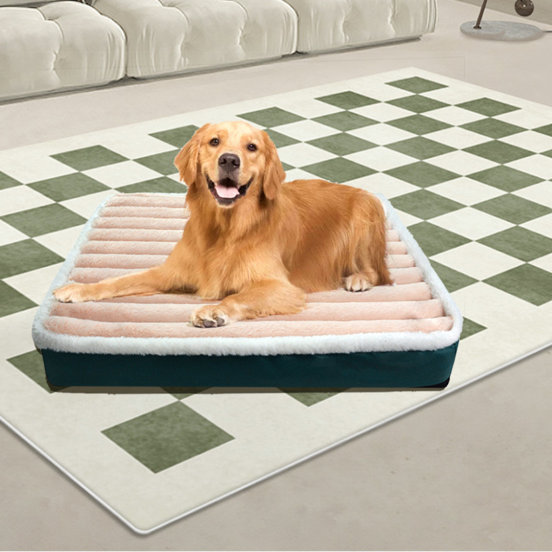 Haustier-Kingsize-Bett | Für Hunde und Katzen 