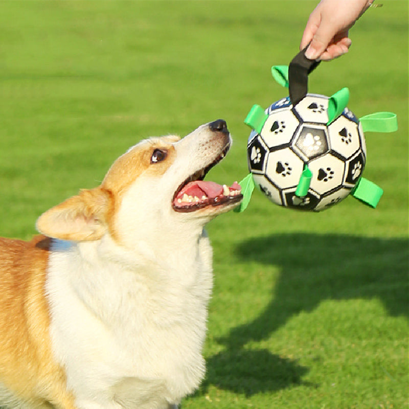 PataGol™ - Abenteuerball für Hunde 