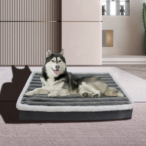 Haustier-Kingsize-Bett | Für Hunde und Katzen 