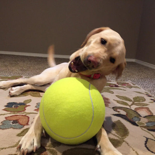 Tennisball – Der Riesenball für Hunde