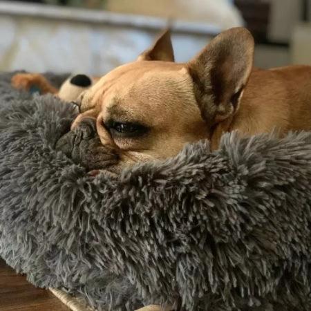 Wolkenbett für Hunde und Katzen