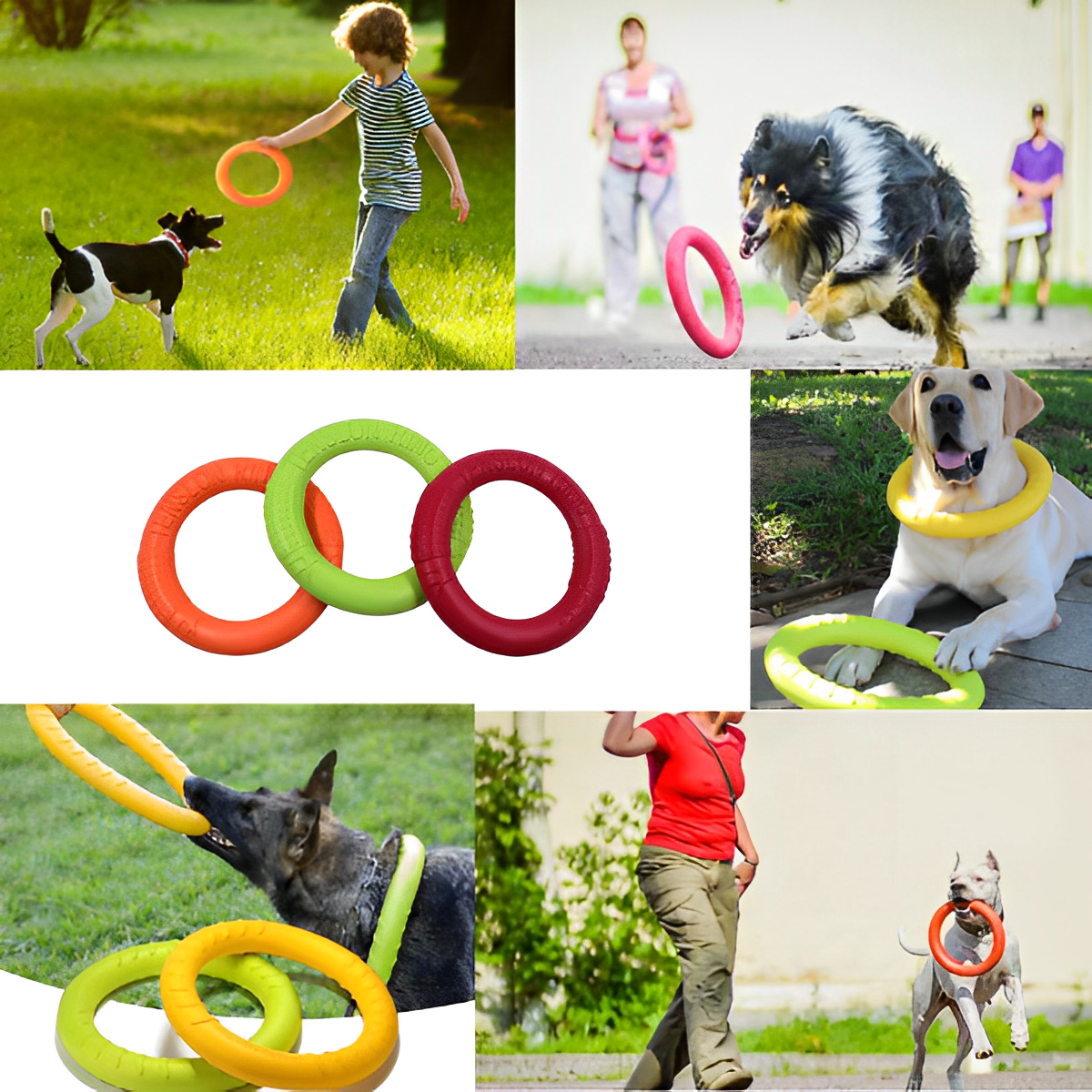 Kauspielzeug für Hunde – Trainingsscheibe