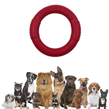 Kauspielzeug für Hunde – Trainingsscheibe