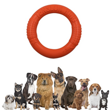Kauspielzeug für Hunde – Trainingsscheibe