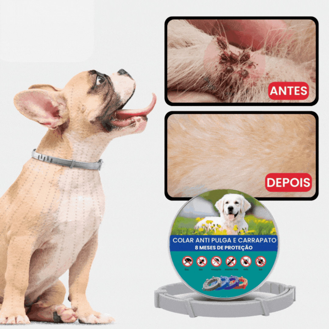 SafePet - Premium Anti-Parasiten-Halsband [8 Monate Schutz]