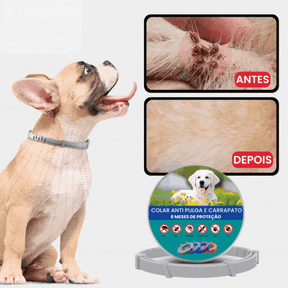 SafePet - Premium Anti-Parasiten-Halsband [8 Monate Schutz]