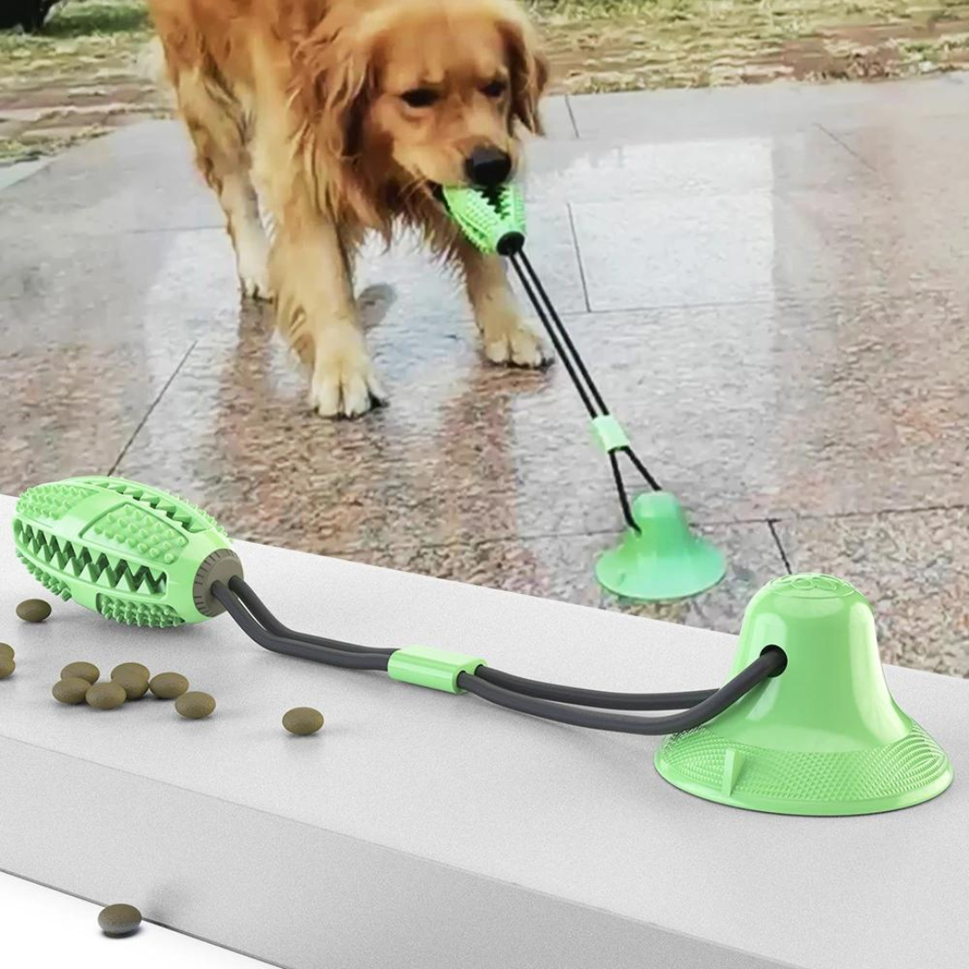Tauziehen-Spielzeug mit Leckerli-Halter und Beißring für Hunde 