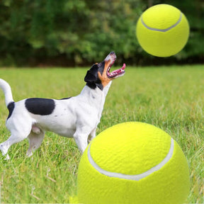 Tennisball – Der Riesenball für Hunde