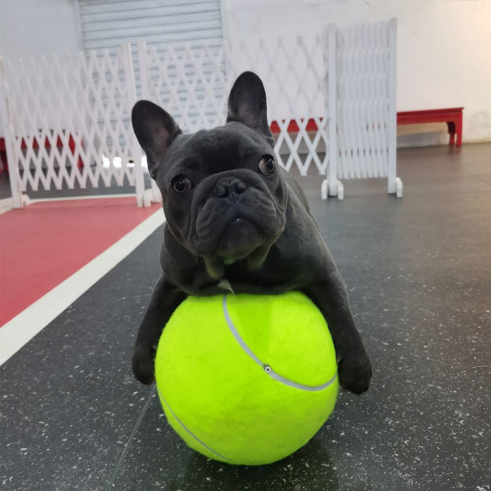 Tennisball – Der Riesenball für Hunde