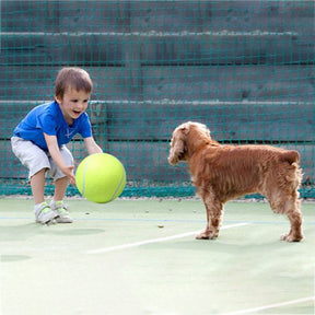 Tennisball – Der Riesenball für Hunde