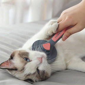 Haarentfernungsbürste für Hunde und Katzen - Petly Hair 