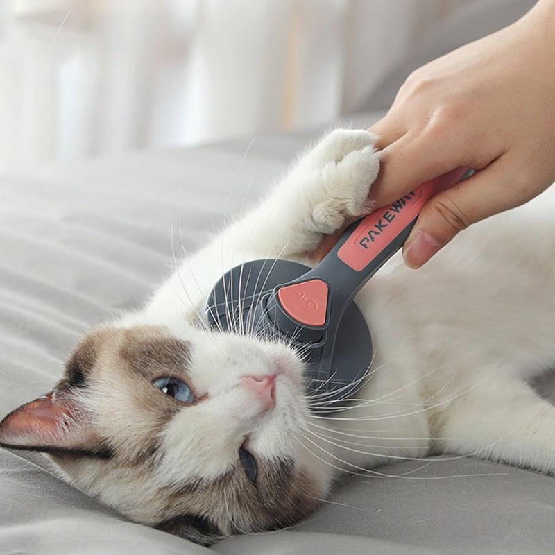 Haarentfernungsbürste für Hunde und Katzen - Petly Hair 