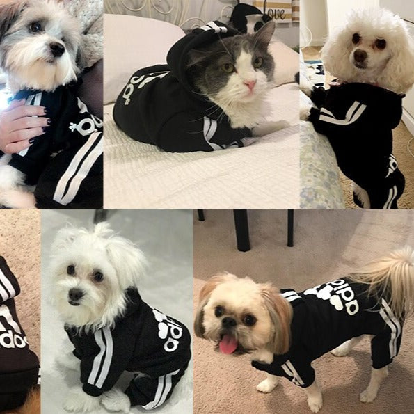 Adidog Sweatshirt