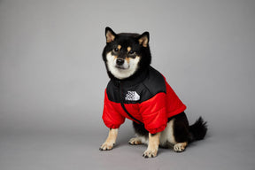 Die Hundefans Jacke | Für Hunde