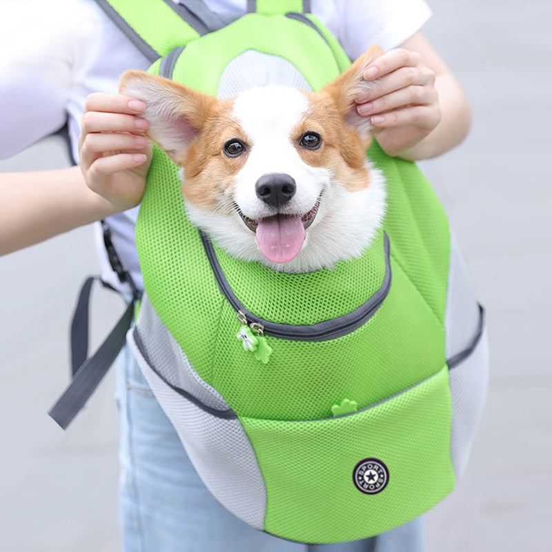 Pet Bag – Der bequeme Rucksack für Ihr Haustier 