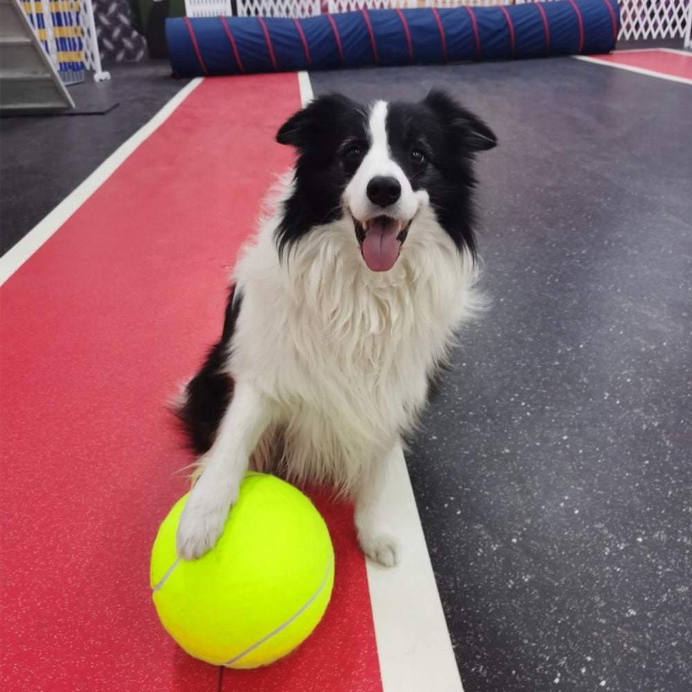 Tennisball – Der Riesenball für Hunde