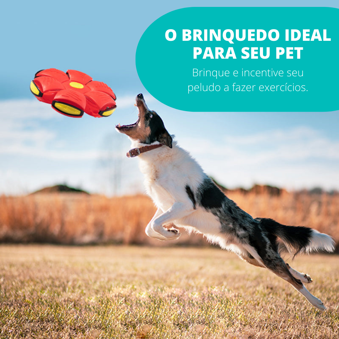 Pet Ball Fliegender Ball für Hunde