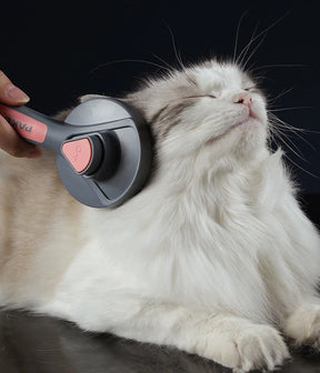 Haarentfernungsbürste für Hunde und Katzen - Petly Hair 