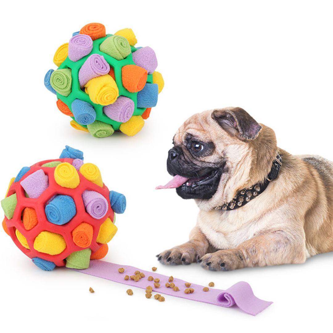 Pet Snack - Interaktiver Ball