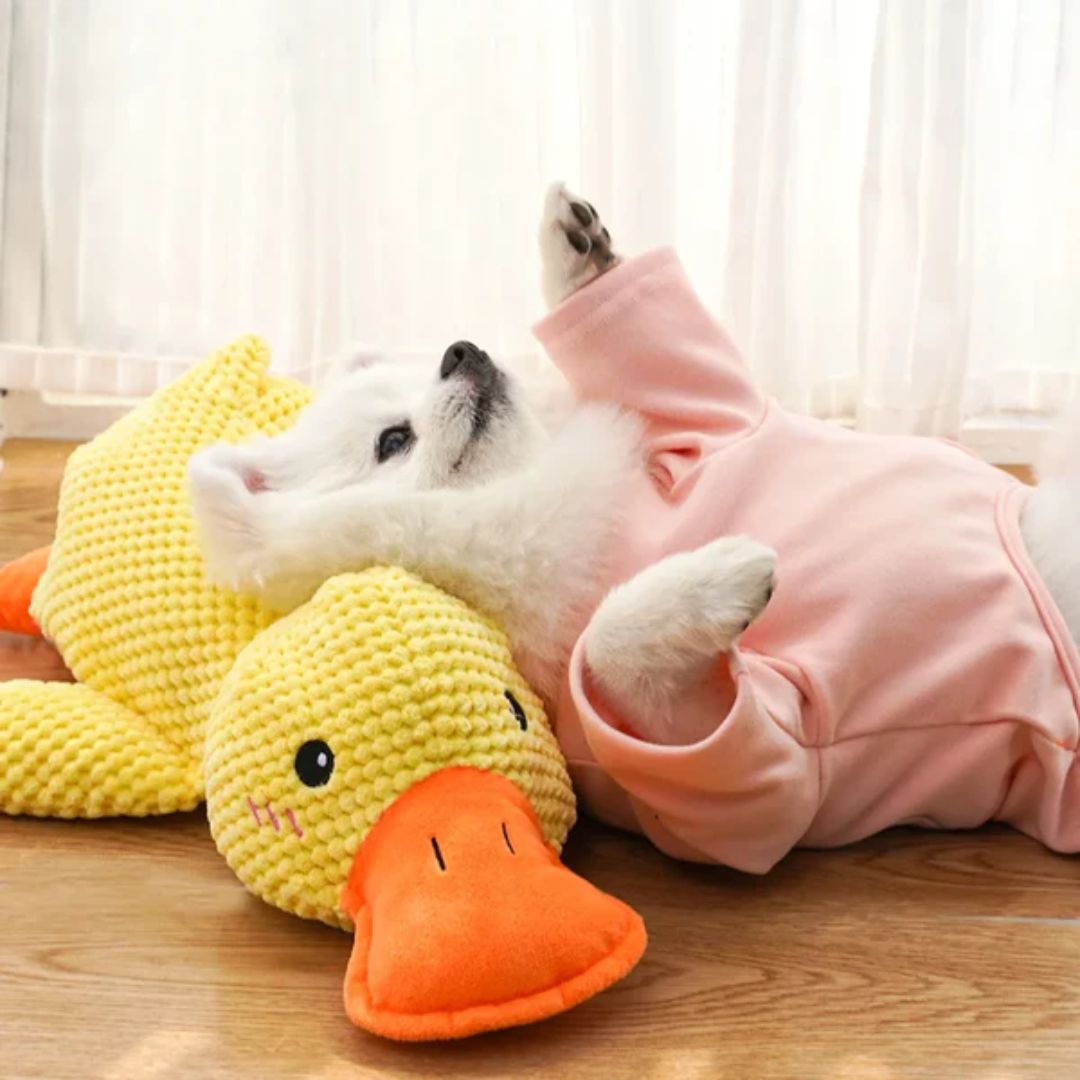 Plushente Freund – Der beste Begleiter für dein Haustier