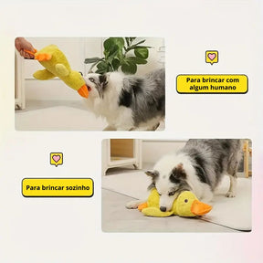 Plushente Freund – Der beste Begleiter für dein Haustier