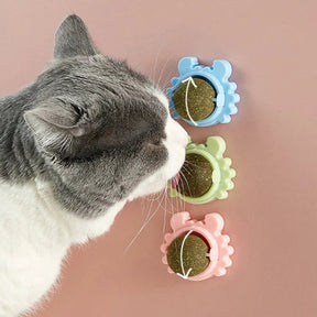 Pet Relax - Rollende Avocado