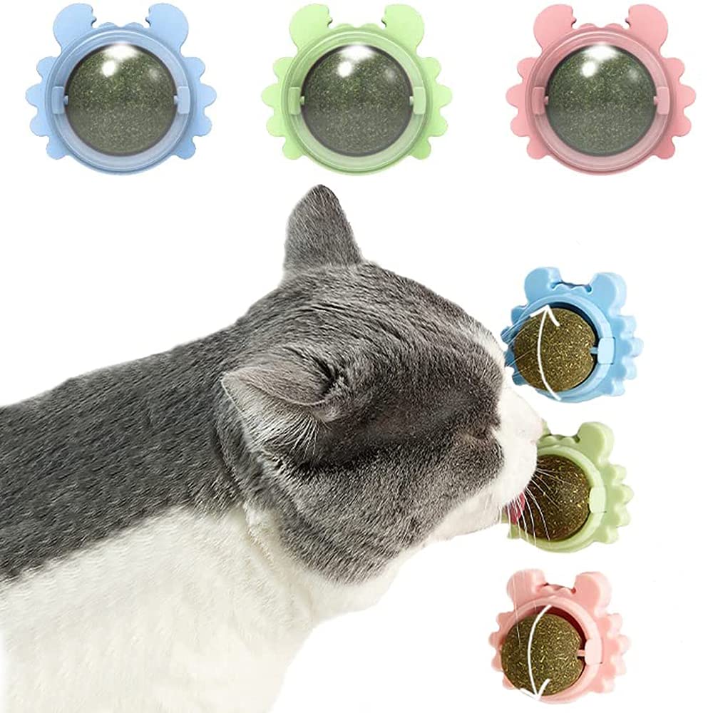 Pet Relax - Rollende Avocado