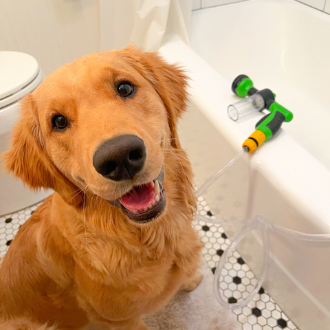 Petly Jet – Die schnelle Art, jedes Haustier zu baden!