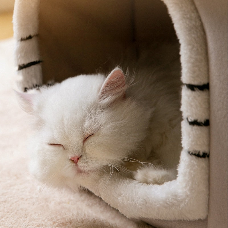 Pet Mansion | Für Hunde und Katzen 