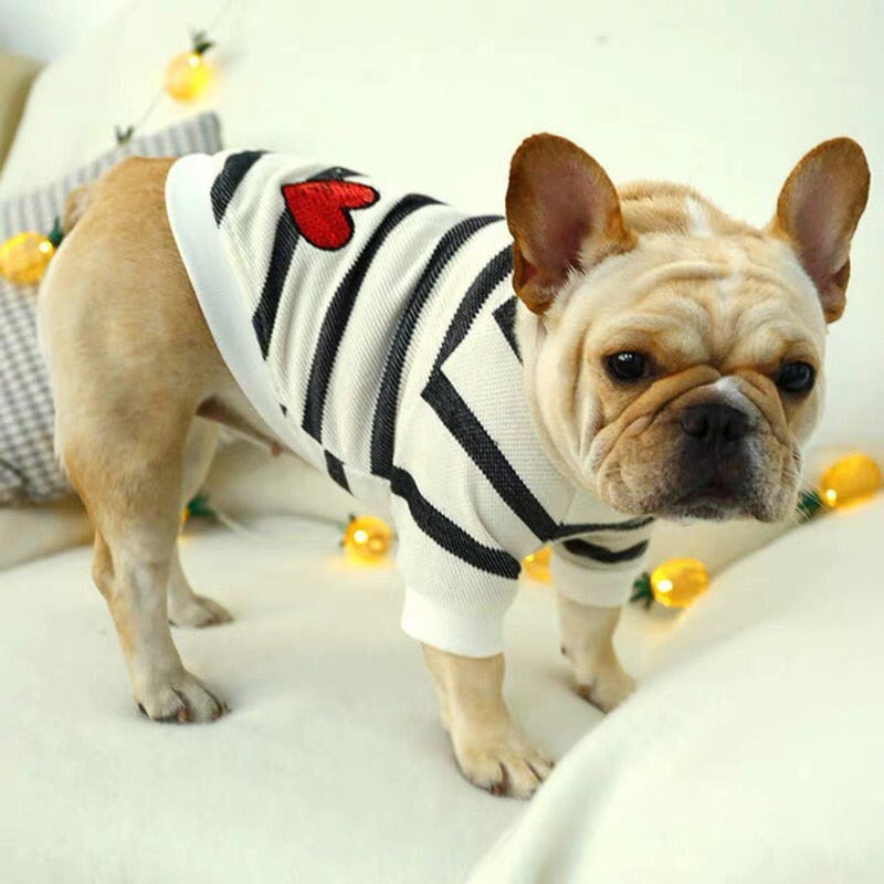 Pet Love Coat | Für Hunde und Katzen 