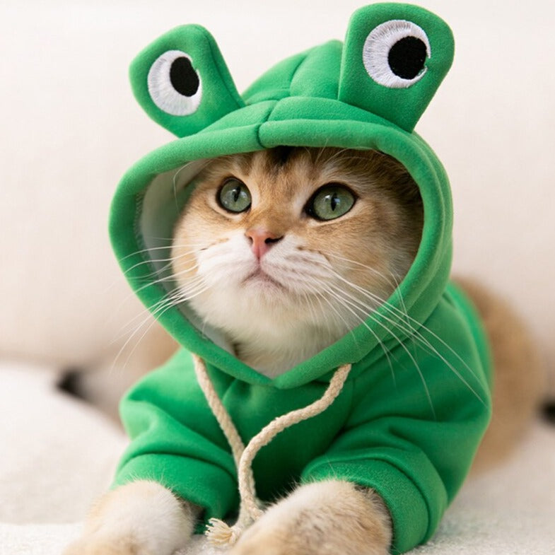 Erstaunliches Frosch-Sweatshirt 