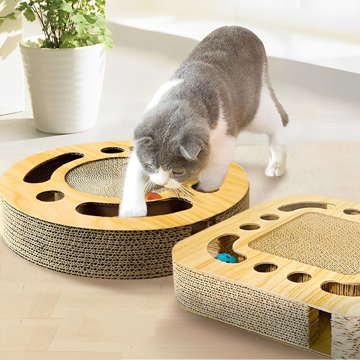 2-in-1-Katzenkratzbaum und Spielzeug - Cat Play