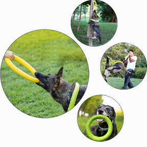 Kauspielzeug für Hunde – Trainingsscheibe
