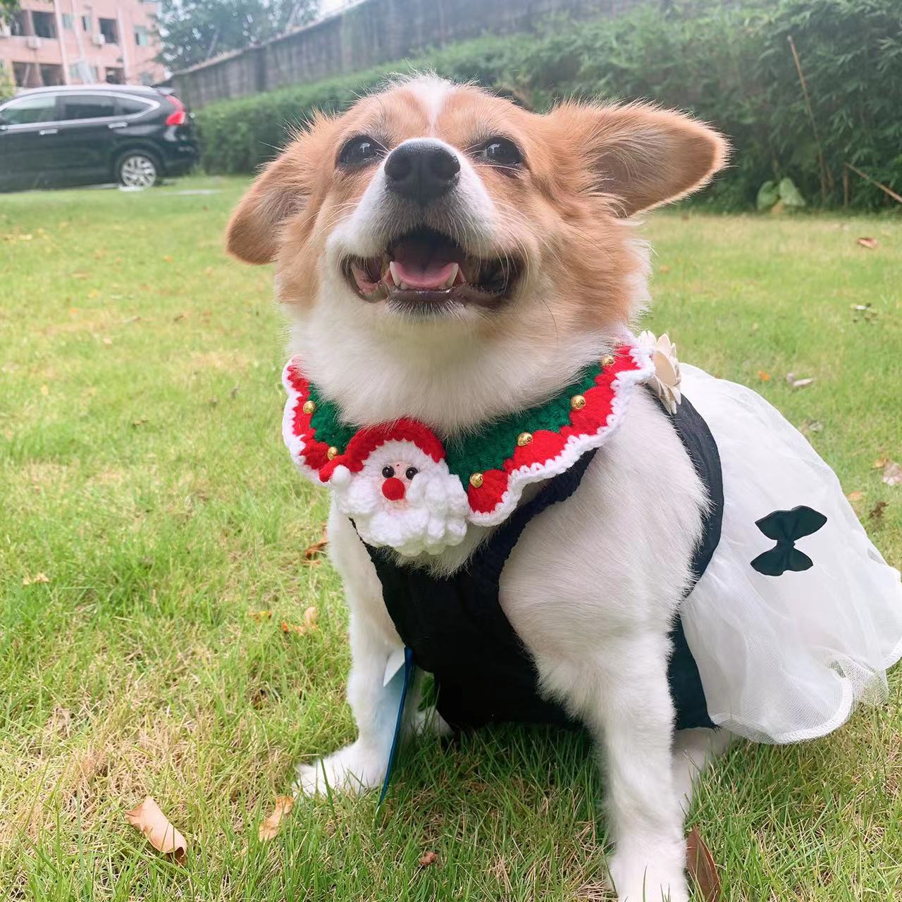 Weihnachtskette für Haustiere | Für Hunde und Katzen