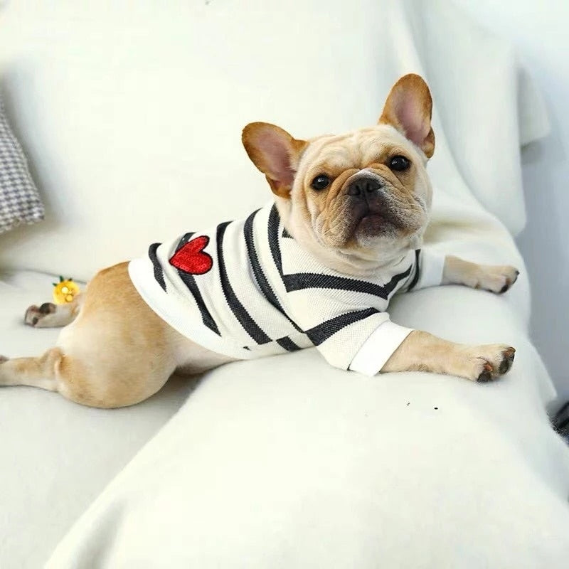 Pet Love Coat | Für Hunde und Katzen 
