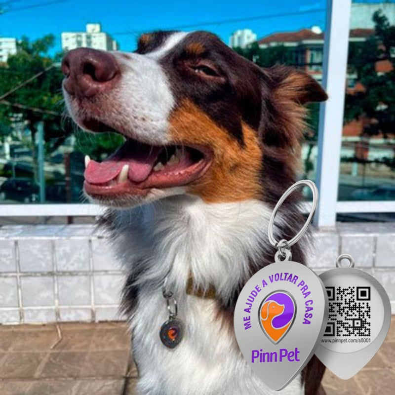 Pinn Pet – Wissen Sie genau, wo Ihr Haustier ist!