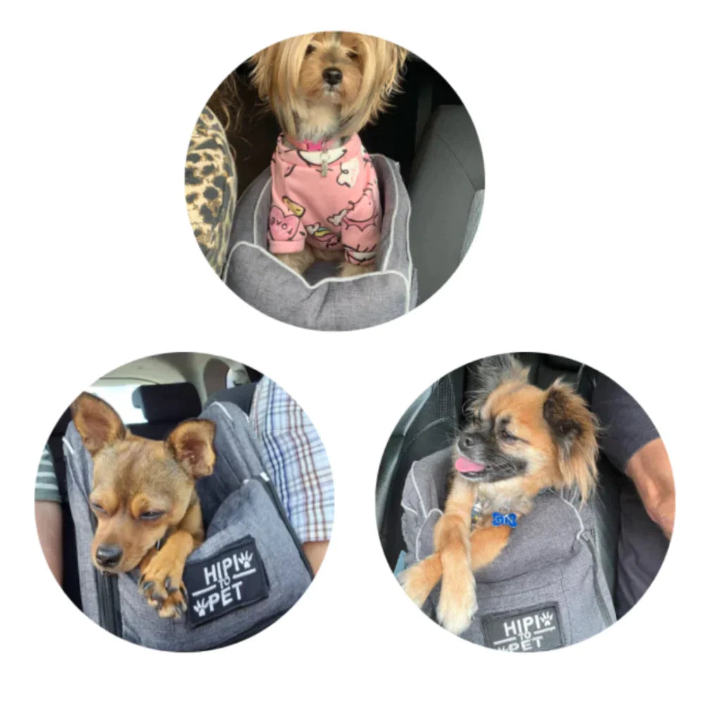 BagSeat Autositz für Hunde 