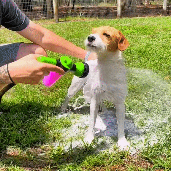Petly Jet – Die schnelle Art, jedes Haustier zu baden!