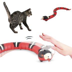Smart Snake für Katzen